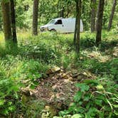 Review photo of Off FR83W/CR9 Dispersed, Ouachita NF, AR by Fred S., June 15, 2024