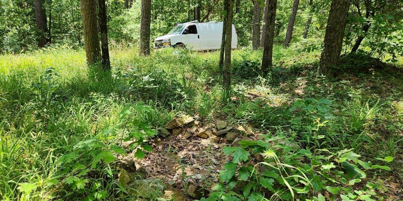 Camper submitted image from Off FR83W/CR9 Dispersed, Ouachita NF, AR