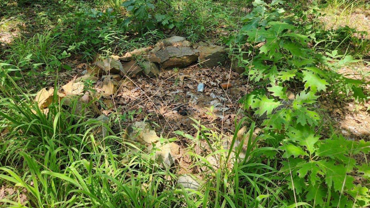 Camper-submitted photo at Off FR83W/CR9 Dispersed, Ouachita NF, AR near Nimrod Lake