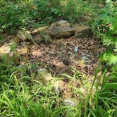 Review photo of Off FR83W/CR9 Dispersed, Ouachita NF, AR by Fred S., June 15, 2024