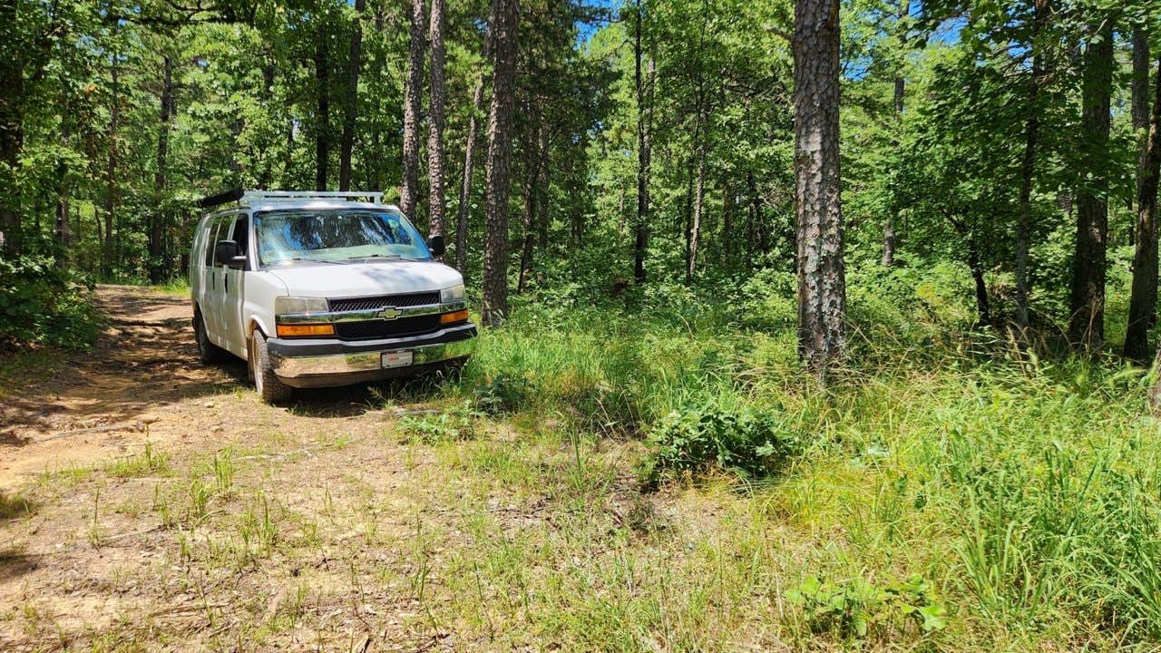 Camper submitted image from Off FR83W/CR9 Dispersed, Ouachita NF, AR - 2