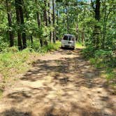 Review photo of Off FR83W/CR9 Dispersed, Ouachita NF, AR by Fred S., June 15, 2024