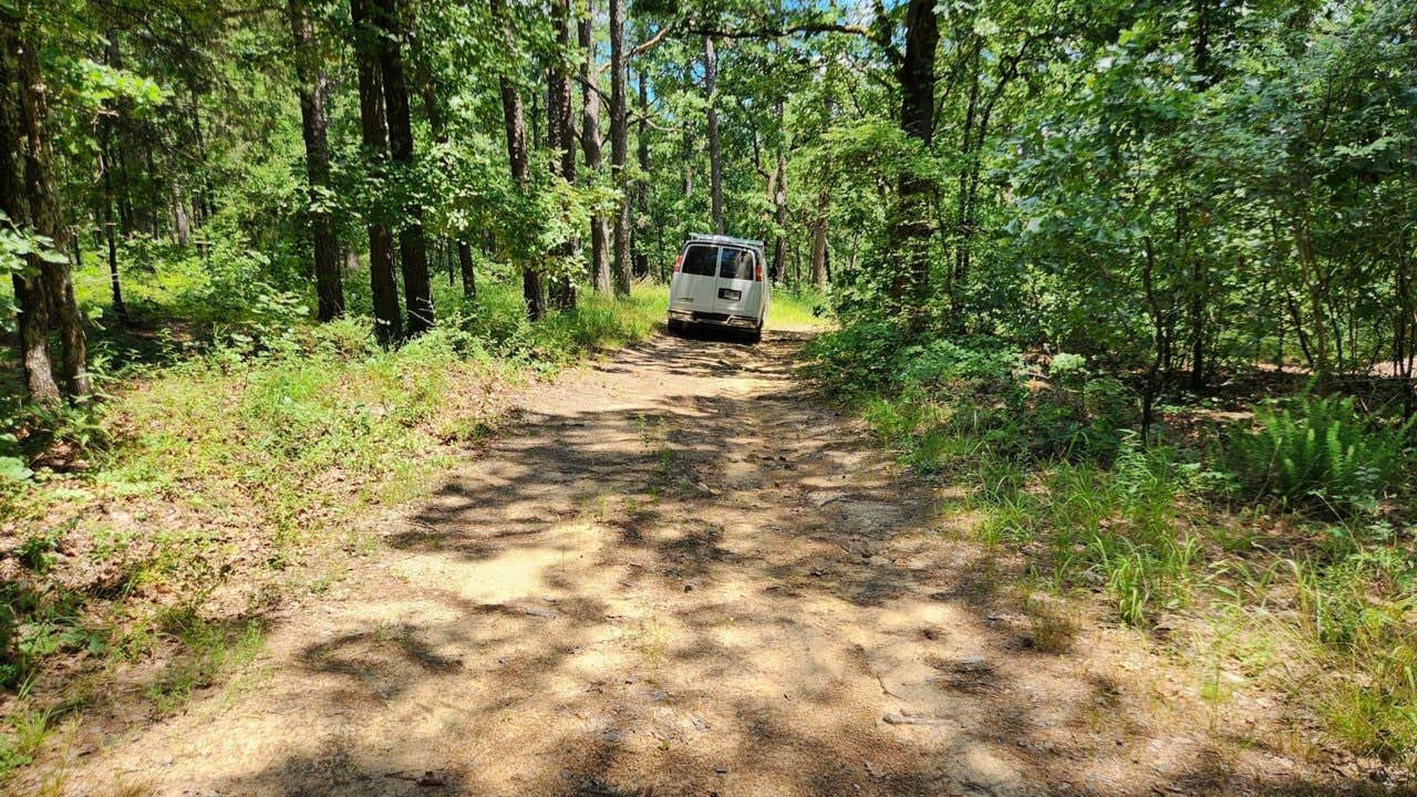 Camper submitted image from Off FR83W/CR9 Dispersed, Ouachita NF, AR - 3