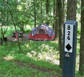 Camper-submitted photo from Yogi Bear's Jellystone Park at Natural Bridge