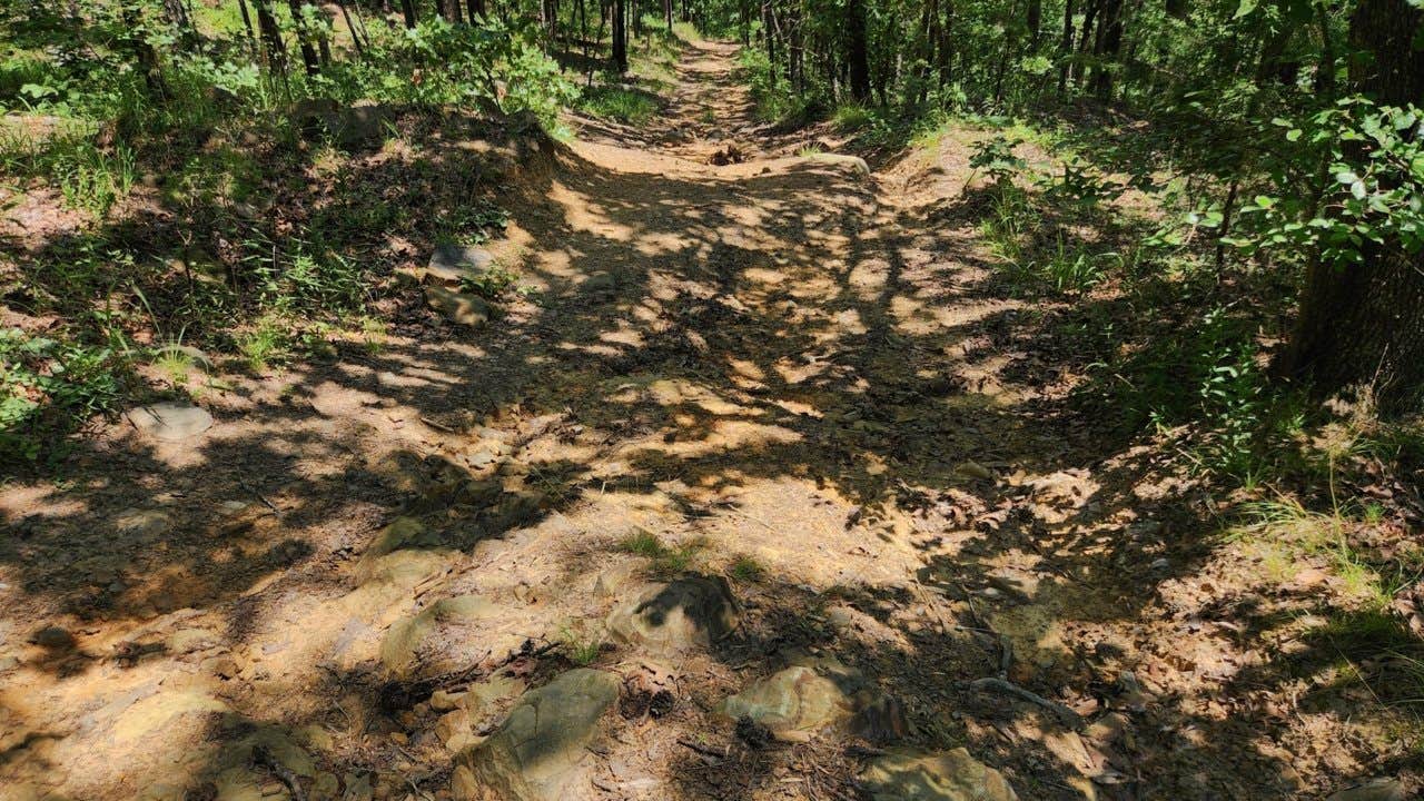Camper-submitted photo at Off FR83W/CR9 Dispersed, Ouachita NF, AR near Nimrod Lake