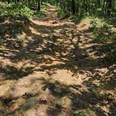 Review photo of Off FR83W/CR9 Dispersed, Ouachita NF, AR by Fred S., June 15, 2024