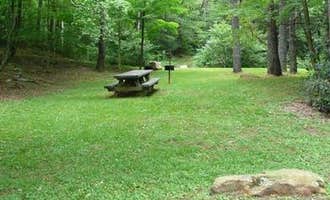 Camping near Grindstone: Raccoon Branch Campground, Sugar Grove, Virginia