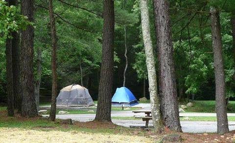 Camper submitted image from Raccoon Branch Campground - 5