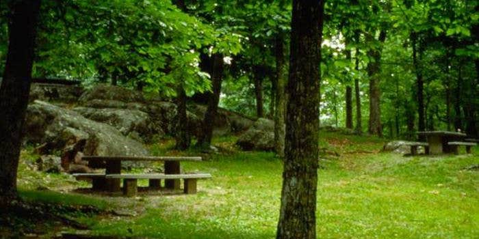 Camper submitted image from Rocky Knob Campground — Blue Ridge Parkway