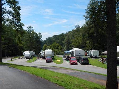 Camper submitted image from Salthouse Branch Campground - 1