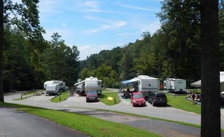 Camper-submitted photo from Salthouse Branch Campground