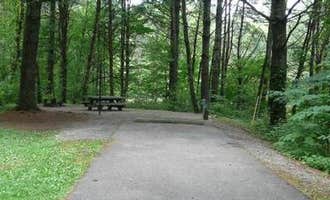 Camping near Cavitts Creek Park: Stony Fork Campground, Wytheville, Virginia
