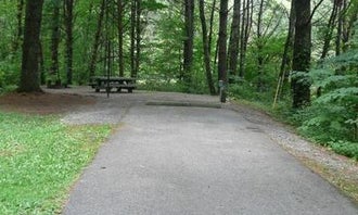 Camping near Deer Trail Park & Campground: Stony Fork Campground, Wytheville, Virginia