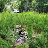 Review photo of Cove Mountain Group Dispersed, FR83W/CR9, Ouachita NF, AR by Fred S., June 16, 2024