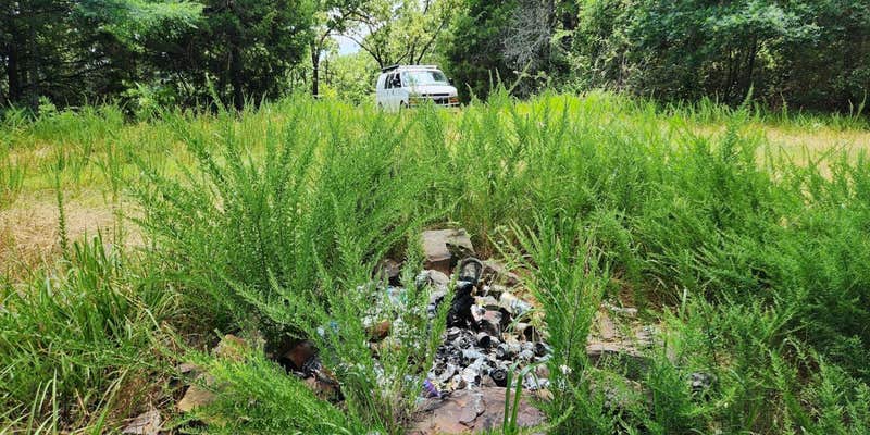 Camper submitted image from Cove Mountain Group Dispersed, FR83W/CR9, Ouachita NF, AR