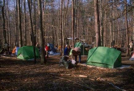 Camper submitted image from Turkey Run Ridge Group Campground — Prince William Forest Park - 3