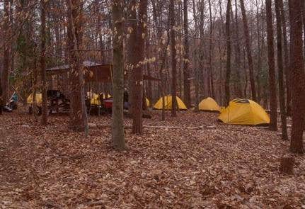 Camper submitted image from Turkey Run Ridge Group Campground — Prince William Forest Park - 5