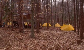 Camping near Smallwood State Park Campground - TEMPORARILY CLOSED THROUGH JULY 2023: Turkey Run Ridge Group Campground — Prince William Forest Park, Prince William Forest Park, Virginia