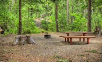 Camping near Council Lake: Adams Fork Campground, Packwood, Washington
