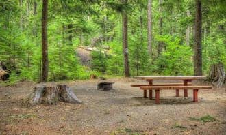 Camping near Chain: Adams Fork Campground, Packwood, Washington