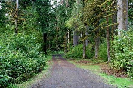 Camper submitted image from Bayview Campground (Mt. Baker-Snoqualmie National Forest, WA) - 2