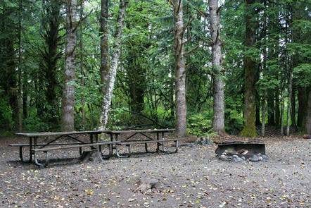 Camper submitted image from Bayview Campground (Mt. Baker-Snoqualmie National Forest, WA) - 4