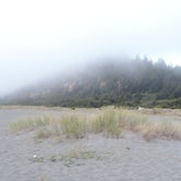 Review photo of Gold Bluffs Beach Campground — Prairie Creek Redwoods State Park by Michael K., September 14, 2016