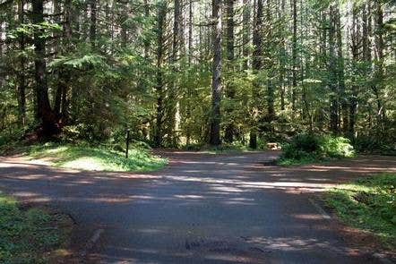 Camper submitted image from Beckler River Campground - 3