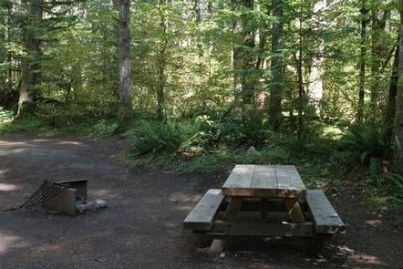 Camper submitted image from Beckler River Campground - 5