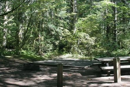 Camper submitted image from Beckler River Campground - 1