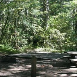 Public Campgrounds: Beckler River Campground
