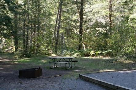 Camper submitted image from Beckler River Campground - 3