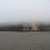 Review photo of Gold Bluffs Beach Campground — Prairie Creek Redwoods State Park by Michael K., September 14, 2016