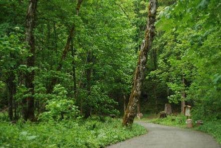 Camper submitted image from Blue Lake Creek Campground - Gifford Pinchot Nf (WA) - 3