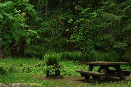 Camper submitted image from Blue Lake Creek Campground - Gifford Pinchot Nf (WA) - 4