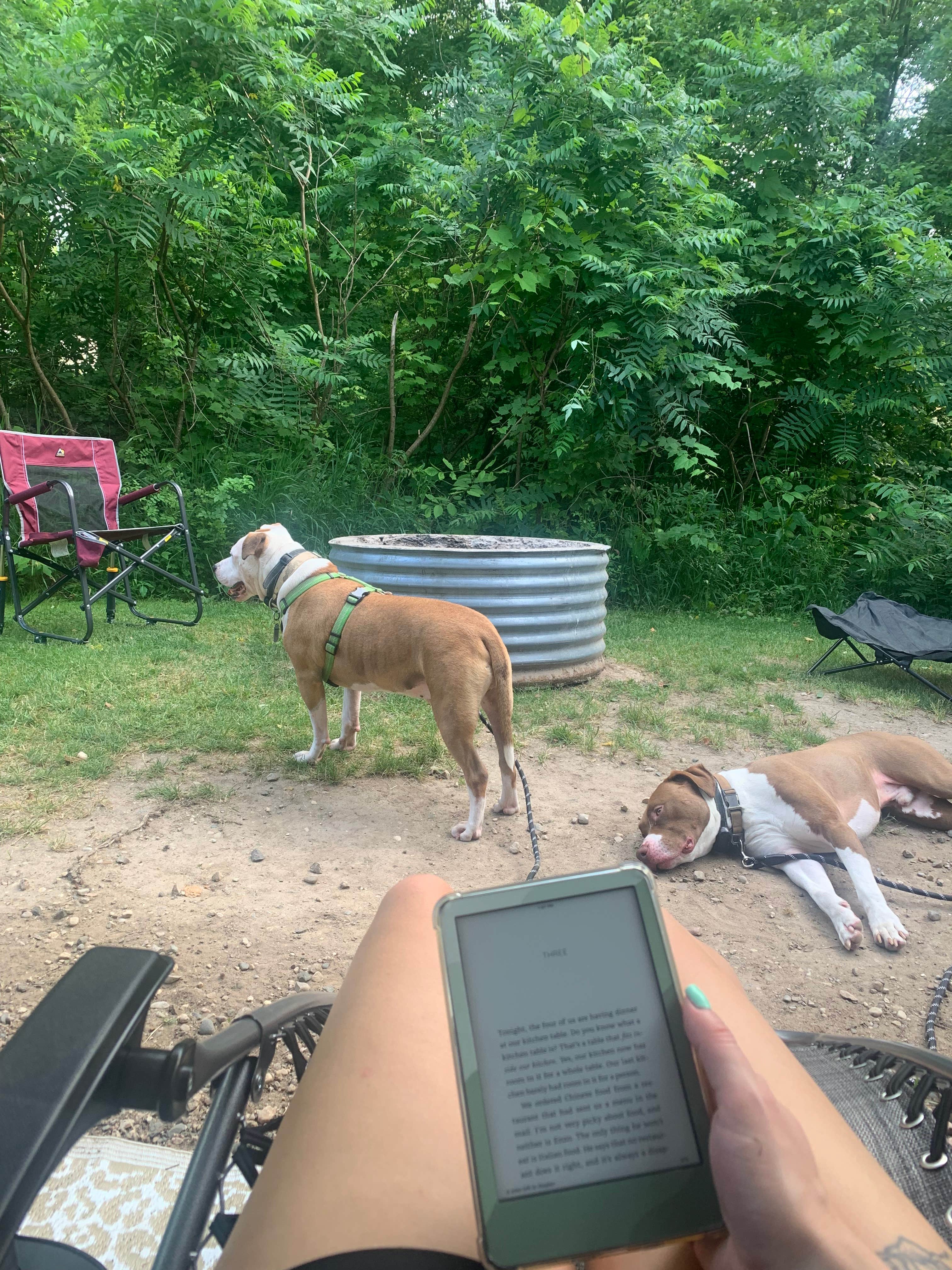 Camper-submitted photo at Ionia State Recreation Area — Ionia Recreation Area near Hamilton, MI