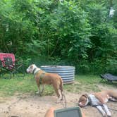 Review photo of Ionia State Recreation Area — Ionia Recreation Area by Rachel P., June 17, 2024