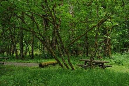 Camper submitted image from Blue Lake Creek Campground - Gifford Pinchot Nf (WA) - 1