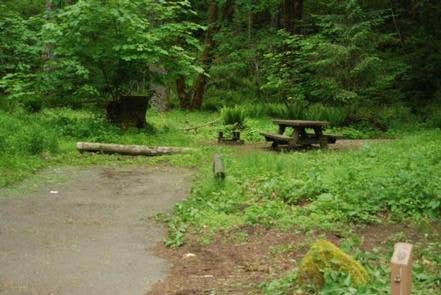 Camper submitted image from Blue Lake Creek Campground - Gifford Pinchot Nf (WA) - 5