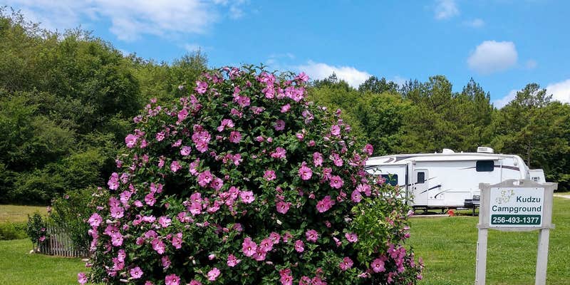Camper submitted image from Kudzu Campground LLC