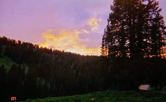 Laura B.'s photo of a dispersed camping area at Washington Gulch Dispersed 2 - PERMANENTLY CLOSED near Gunnison National Forest