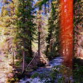 Review photo of Washington Gulch Dispersed 2 by Laura B., June 17, 2024