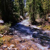 Review photo of Washington Gulch Dispersed 2 by Laura B., June 17, 2024