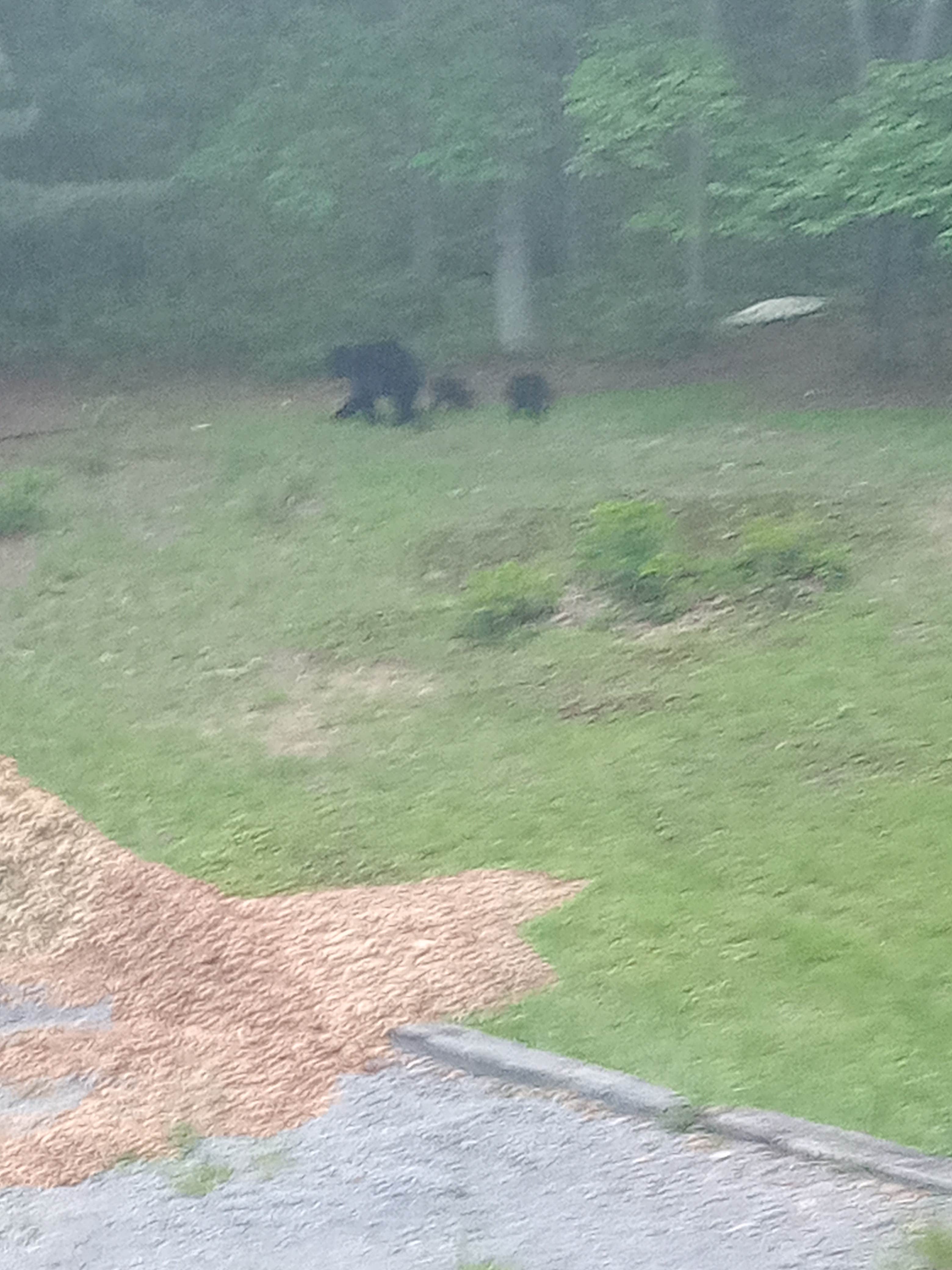 Camper-submitted photo at Scrub Mountain Retreat near Tobyhanna, PA