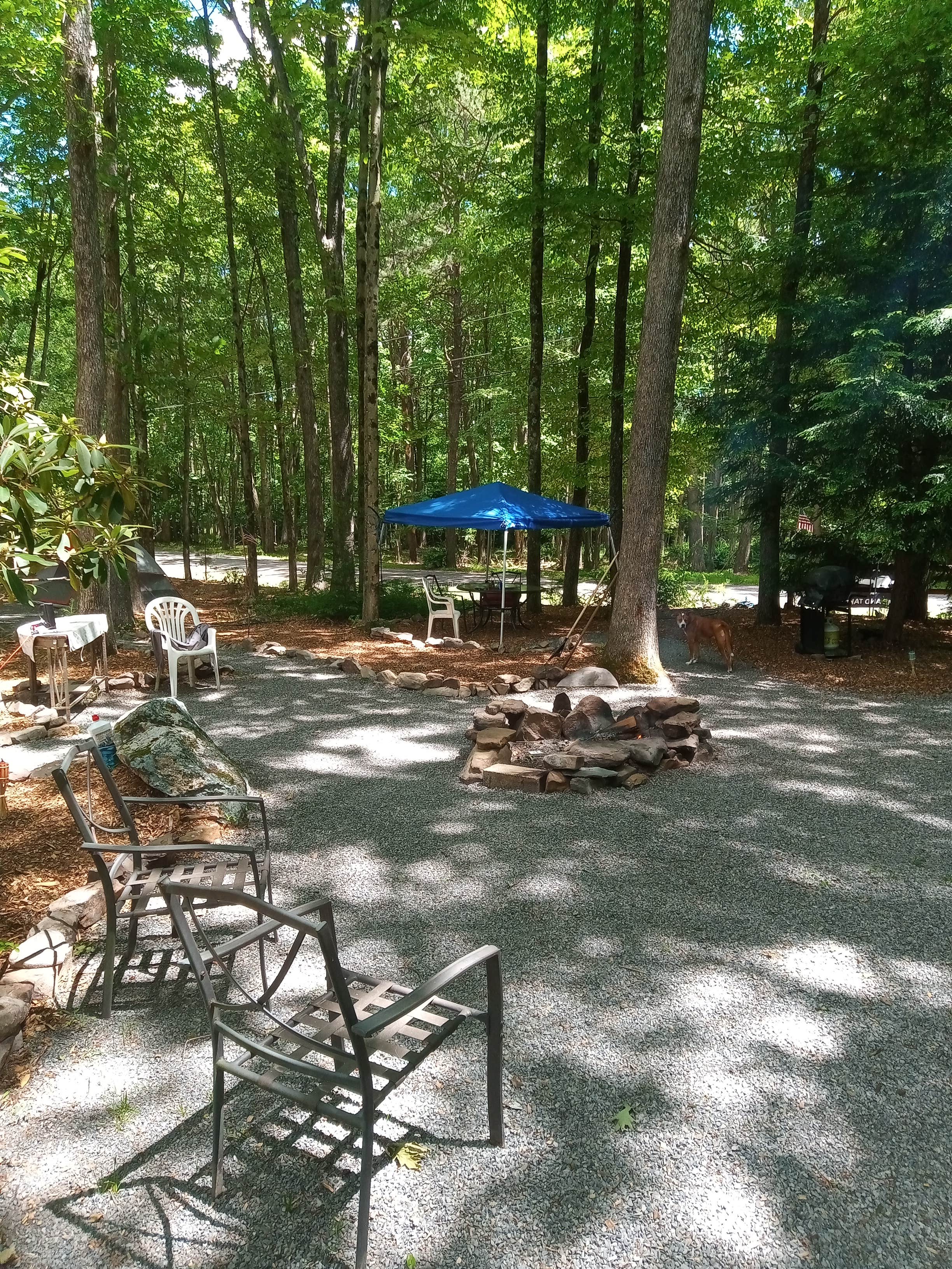 Keith C.'s photo of camping with pets at Scrub Mountain Retreat near Thornhurst, PA