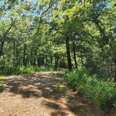 Review photo of Forest Service RD 153 Ouachita National Forest by Fred S., June 17, 2024