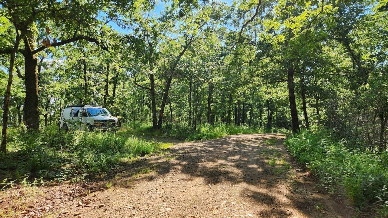 Camper submitted image from Forest Service RD 153 Ouachita National Forest - 4