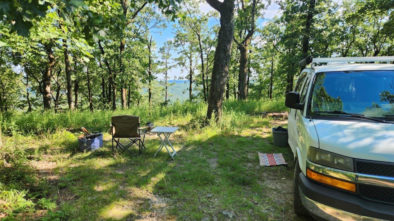 Camper submitted image from Forest Service RD 153 Ouachita National Forest - 3