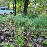 Review photo of Forest Service RD 153 Ouachita National Forest by Fred S., June 17, 2024