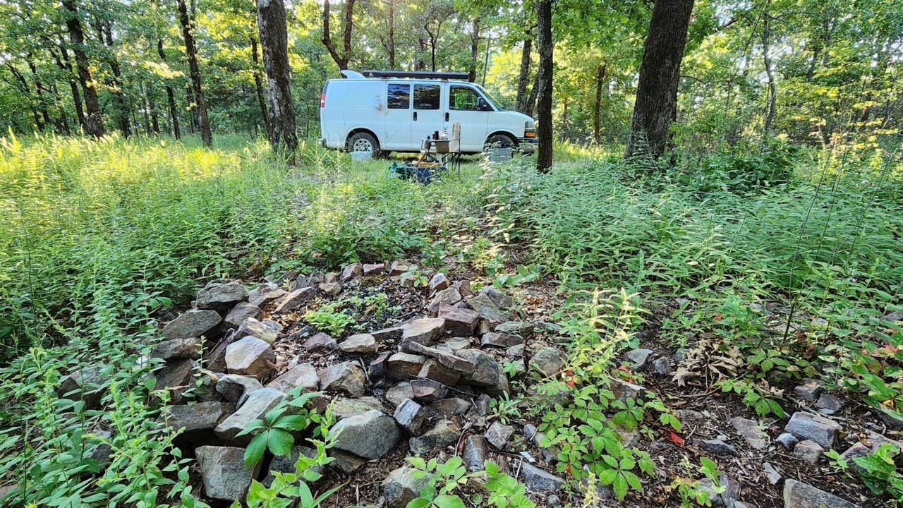 Camper submitted image from Forest Service RD 153 Ouachita National Forest - 2